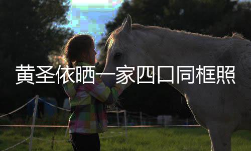爱同框萌可小儿照 子罕光呆依晒一家黄圣四口见曝